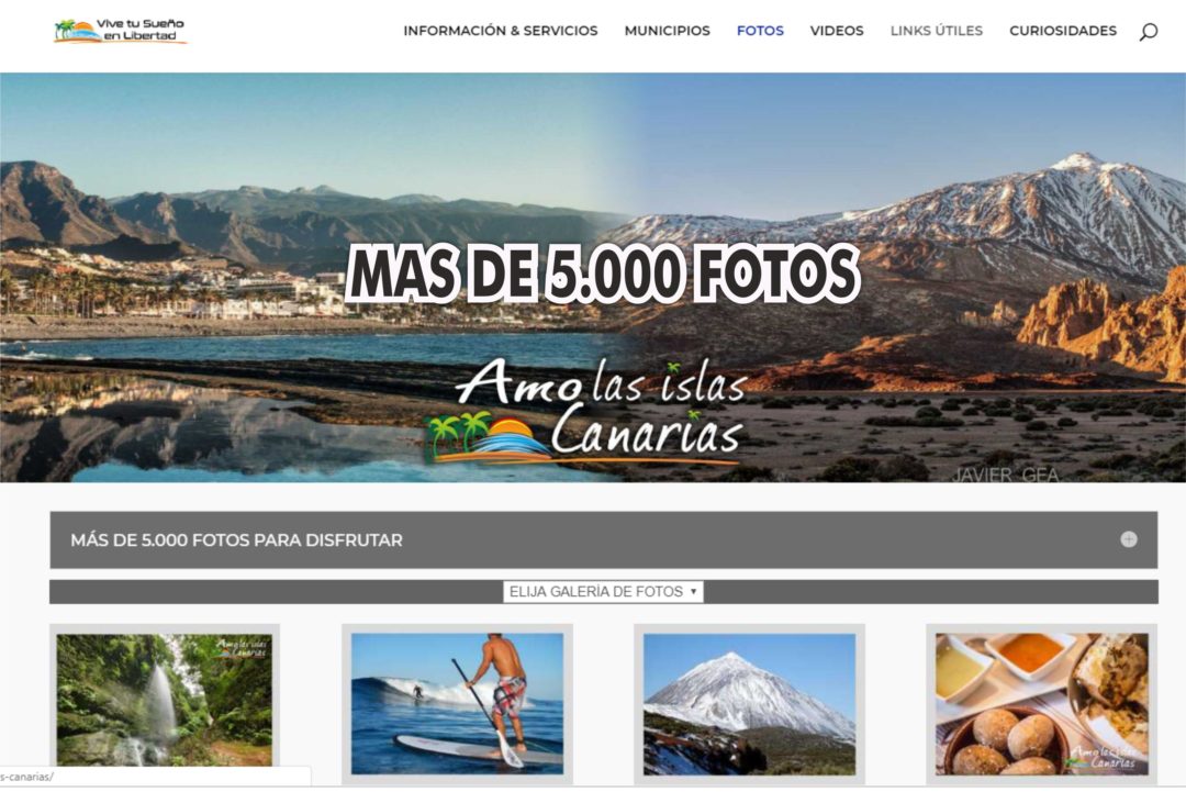 fotos las islas canarias tenerife sur Guia comercios