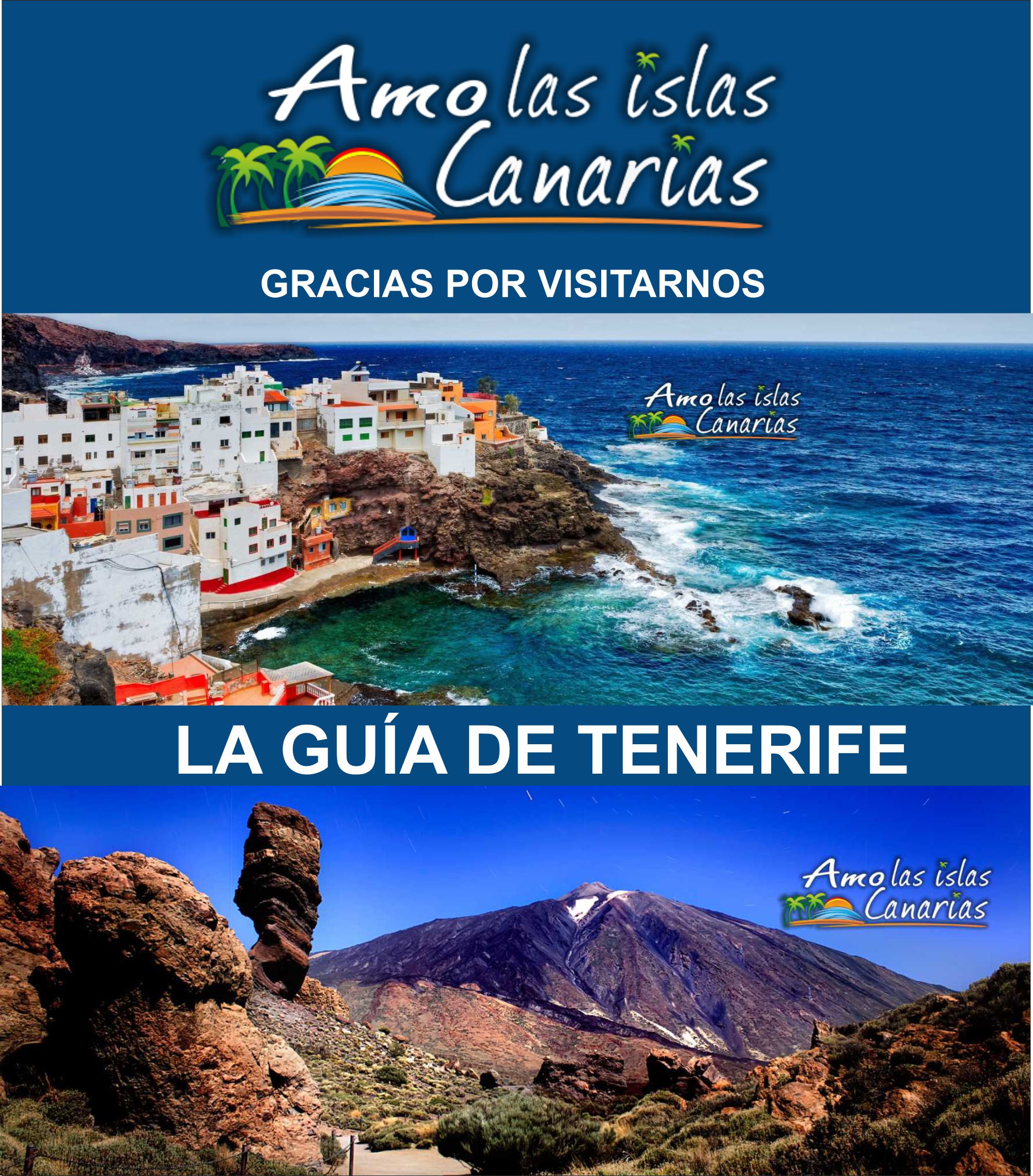 Guia de empresas Islas Canarias Tenerife sur